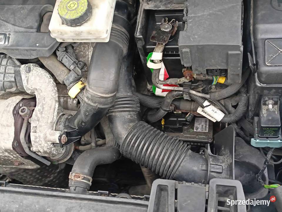 Peugeot 5008 2013r 16 HDi 5 osobowy Rok produkcji 2013 zachodniopomorskie Warzymice