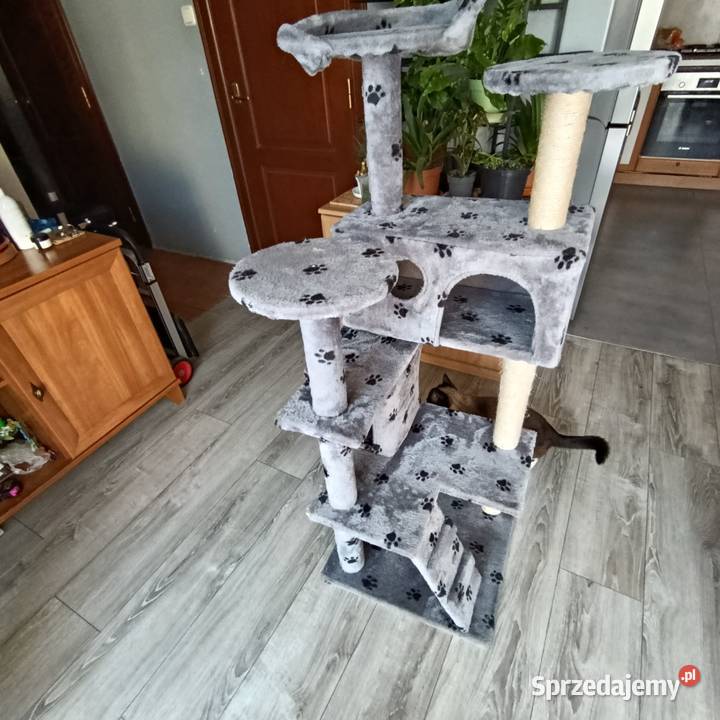 drapak kota mega sprzedam Dla kotów Poznań