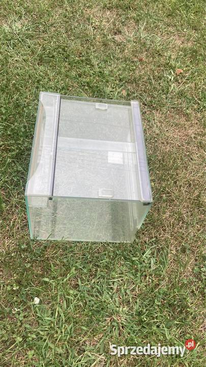 Terrarium gady 302025 mazowieckie Warszawa