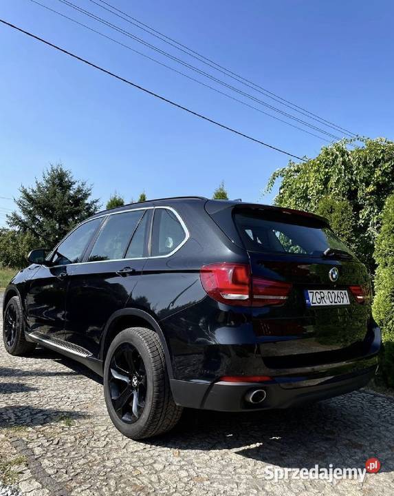 BMW X5 F15 20 xDrive25d Sport 2014 Automat 4x4 Chojna