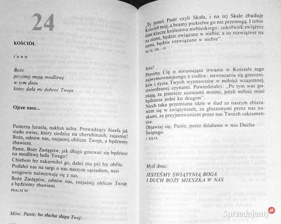 Podnoszę z ziemi mój głos ks Wiesław Chełm sprzedam