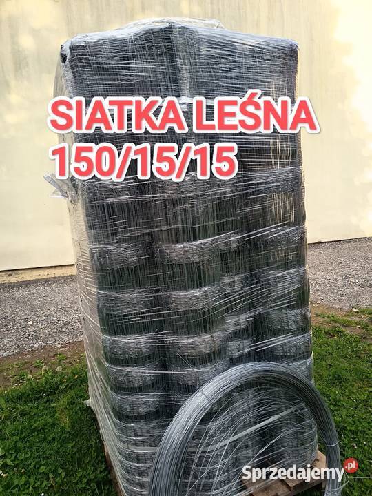 Siatka leśna 1501515 ogrodzeniowa 50mb rolka
