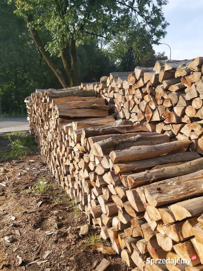 Drewno bukowe Kasinka Mała