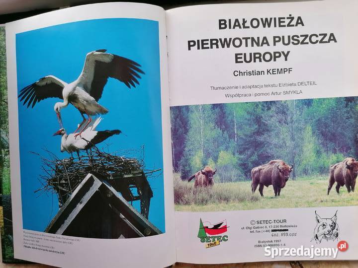 Białowieża pierwotna puszcza Europy