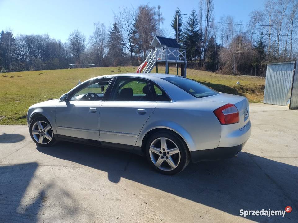 Audi a4 b6 Audi Mierzeń