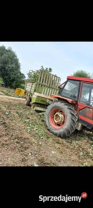 Przyczepa samozbierająca claas 4t Gąbin