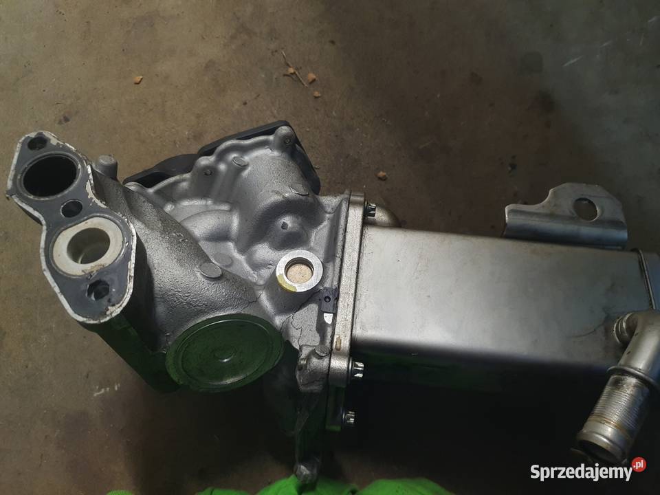 Zawór egr chłodnica 20 Hdi Tdci Bogatynia