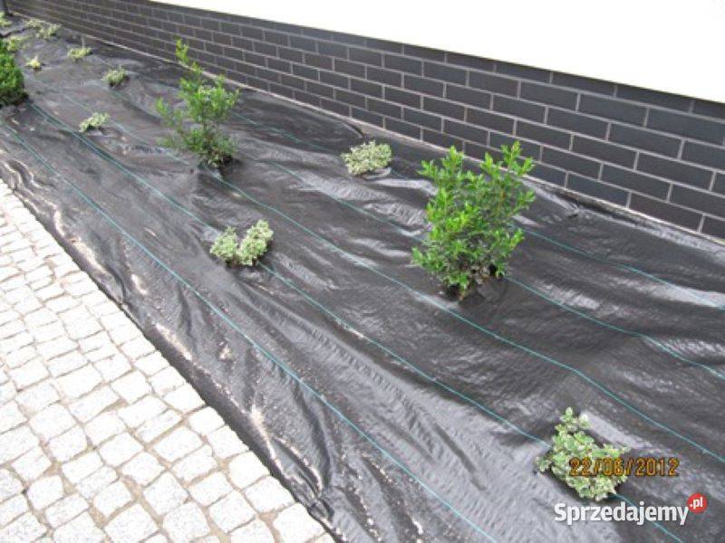 Agrotkanina CZARNA 16 m x 100 m 90 gm2 śląskie Bełk