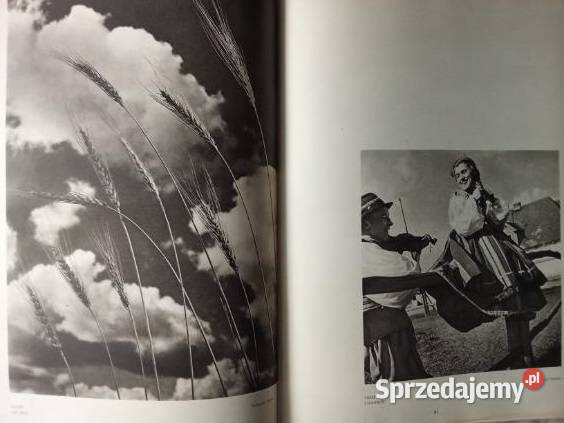 Cztery pory roku Bałukowie Polska fotografia przyroda, krajobrazy łódzkie Łódź