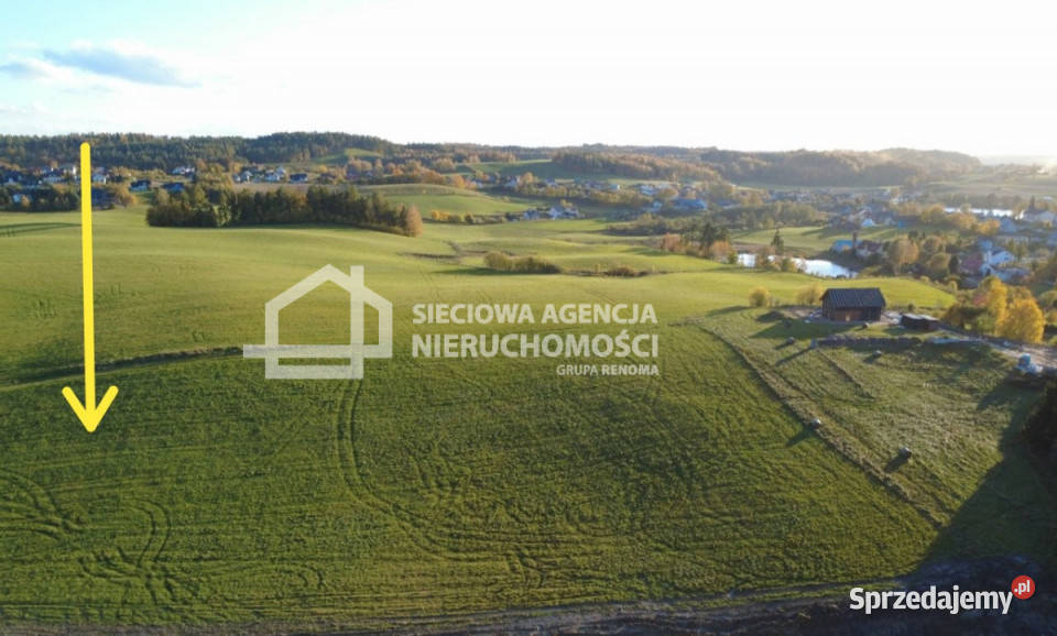sprzedaży działki 1009m2 Prokowo pomorskie sprzedam