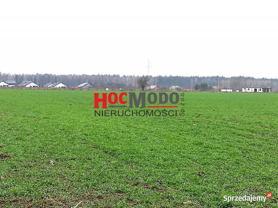 Działka budowlana w Serocku Serock