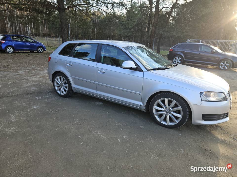 Audi A3 8P Sportback 19 TDI Nowosielec