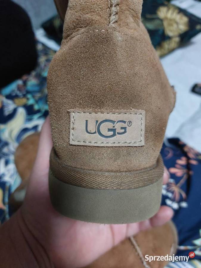 Sniegowce ugg classic short ll Grudziądz