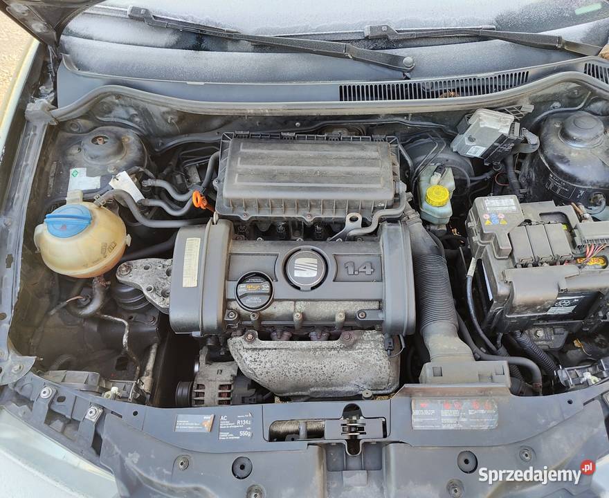 Seat Ibiza III 2007 14 benzyna benzyna Pawłowice