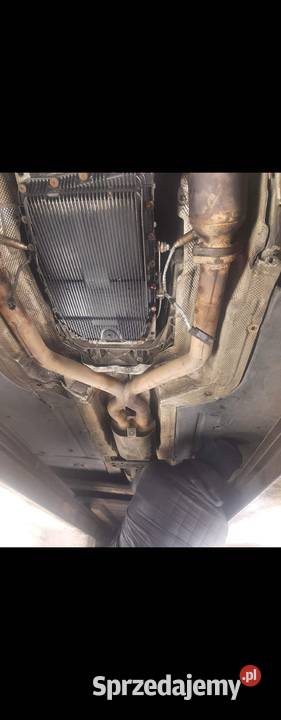 BMW e60 545i Stan Igła