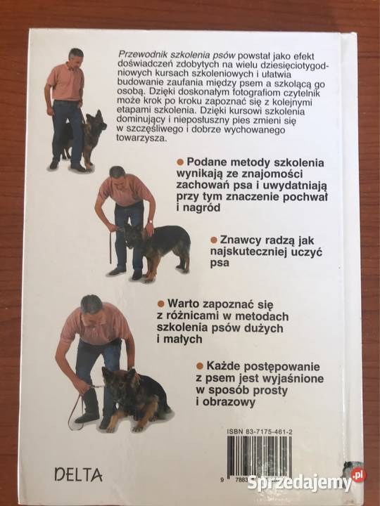 Poradnik wytresować psa Lublin