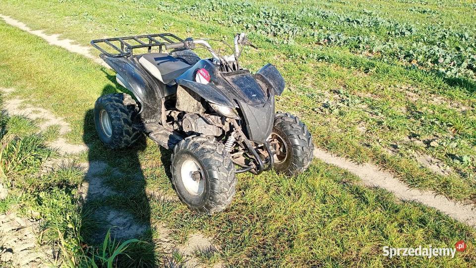 Quad Bashan 150 automat kupiony w Polsce łódzkie