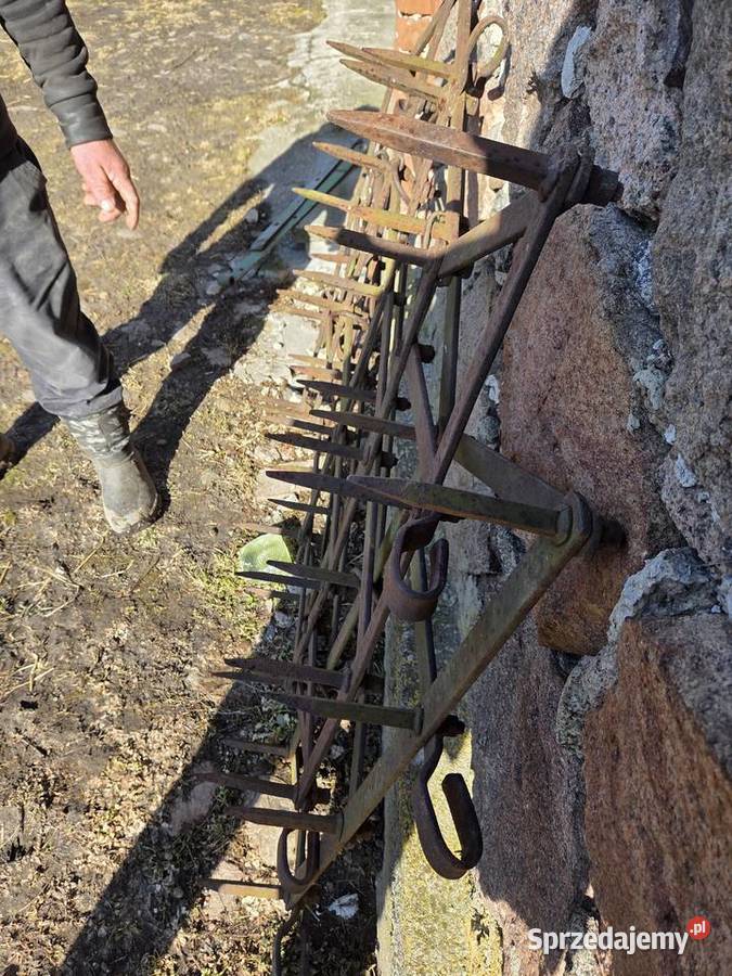 Pola 5 bron stan łódzkie Żychlin