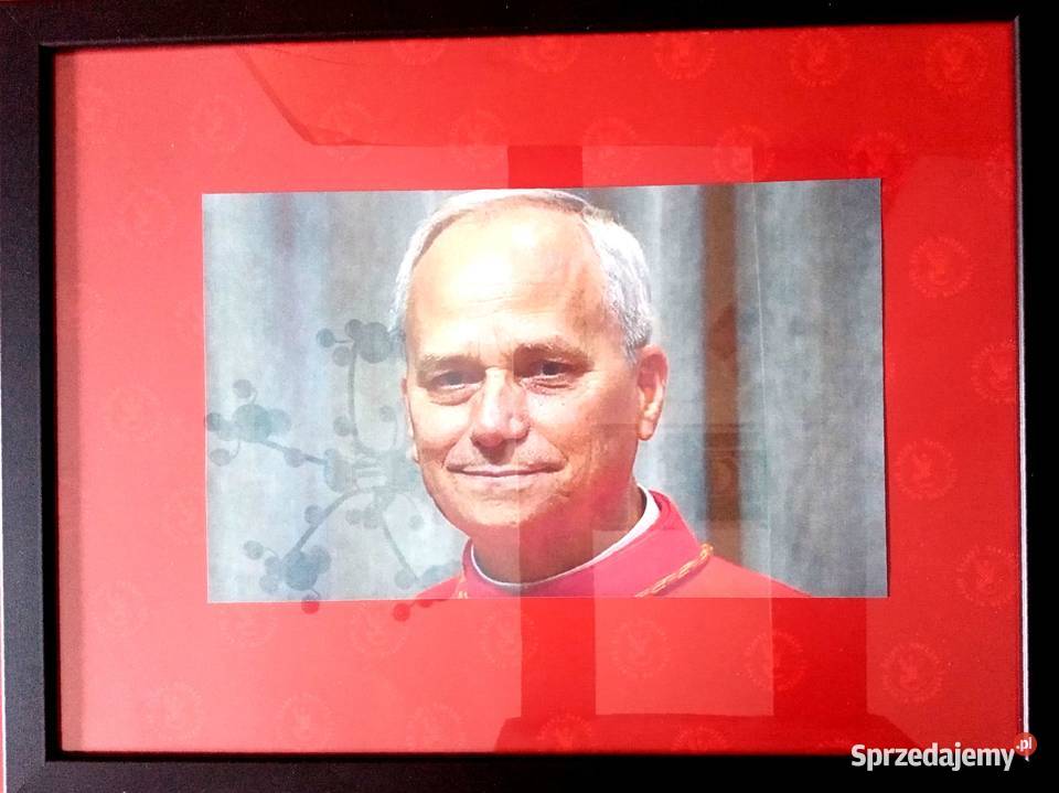 139 03 Obraz 30x40 Papież Leon XIV Robert Warka