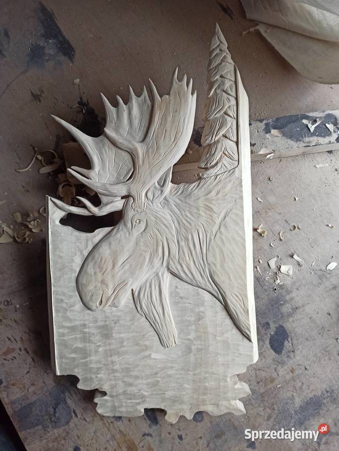 Deski pod trofea Zamość sprzedam