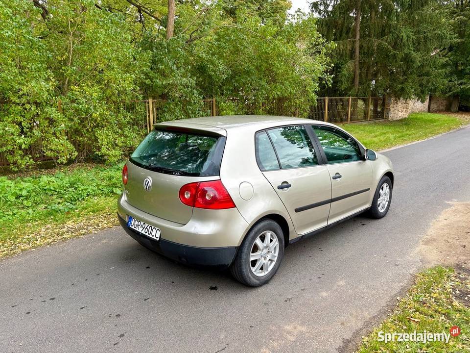 Volkswagen Golf V 14 MPI dużym serwisie lubuskie Iłowa sprzedam