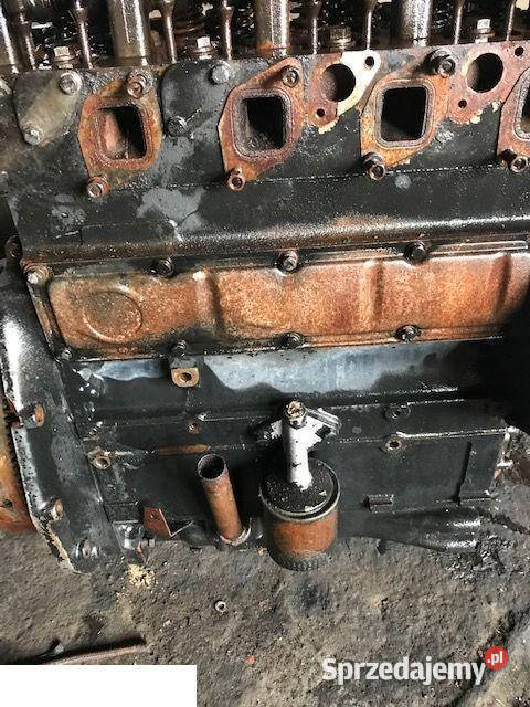 Silnik Case D246 CZĘŚCI Jastrzębniki