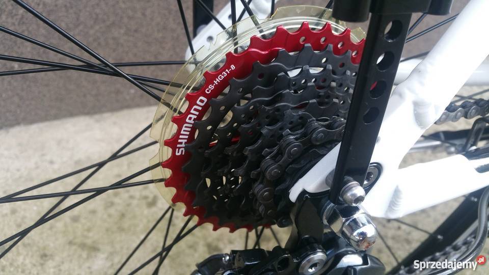 Pegasus Solero Alu Light Shimano Deore Suntou 45 Leszno