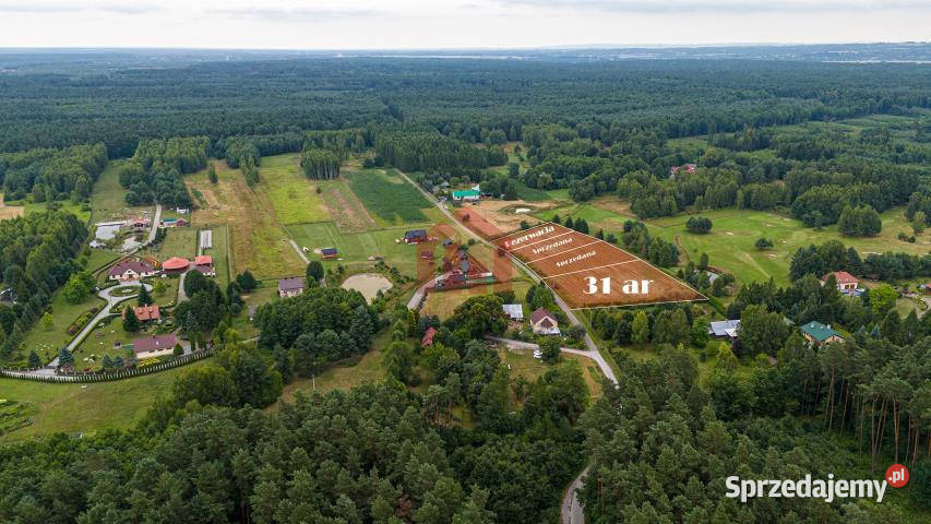 sprzedaży działki Krzywa 3100m2