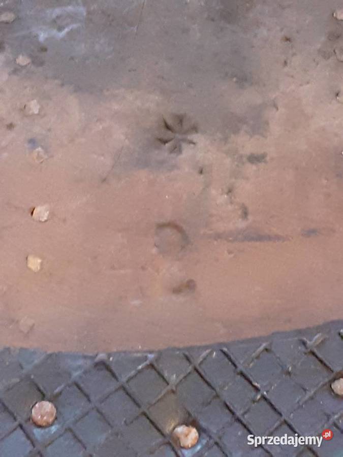 Stare trzewiki buty narciarskie skórzane r 42 Chorzów