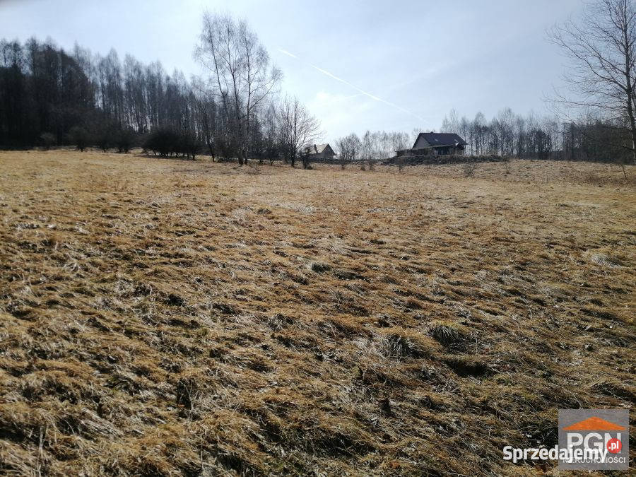 Grunt sprzedam Kocioł 1887m2 dolnośląskie