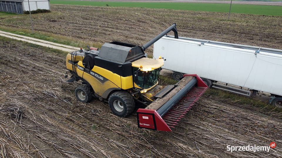 heder do słonecznika 65m kombajny HOLLAND CLAAS Czyżew
