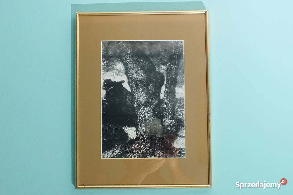 Dęby grafika sitodruk Lubin