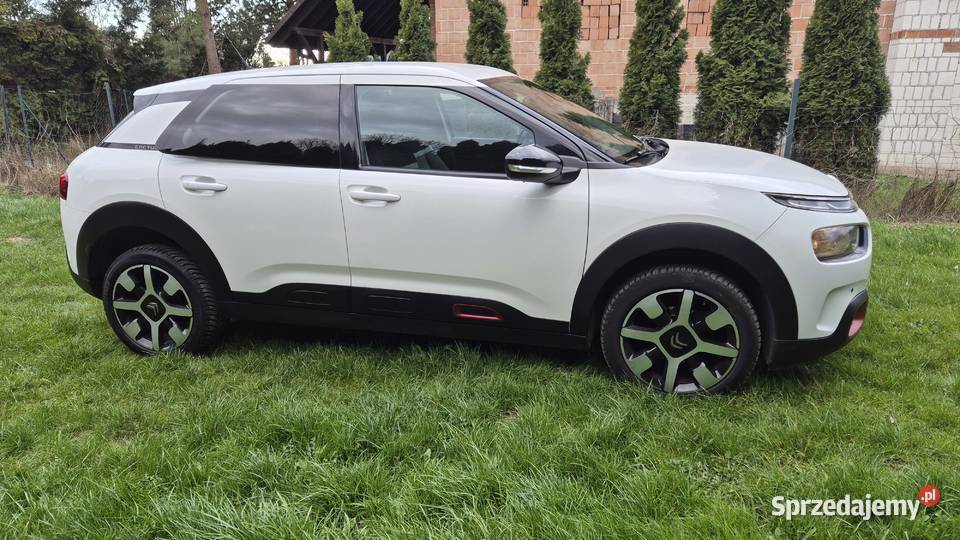 C4 CACTUS 12 110 OPŁACONY bluetooth sprzedam