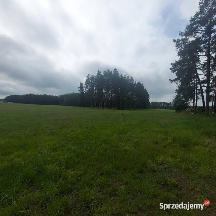 Działka siedliskowa pomorskie Huta