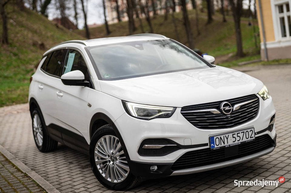 Opel GrandlandX 20 CDTI 177 Full Led Navi Kamera 1997cm3 Otmuchów