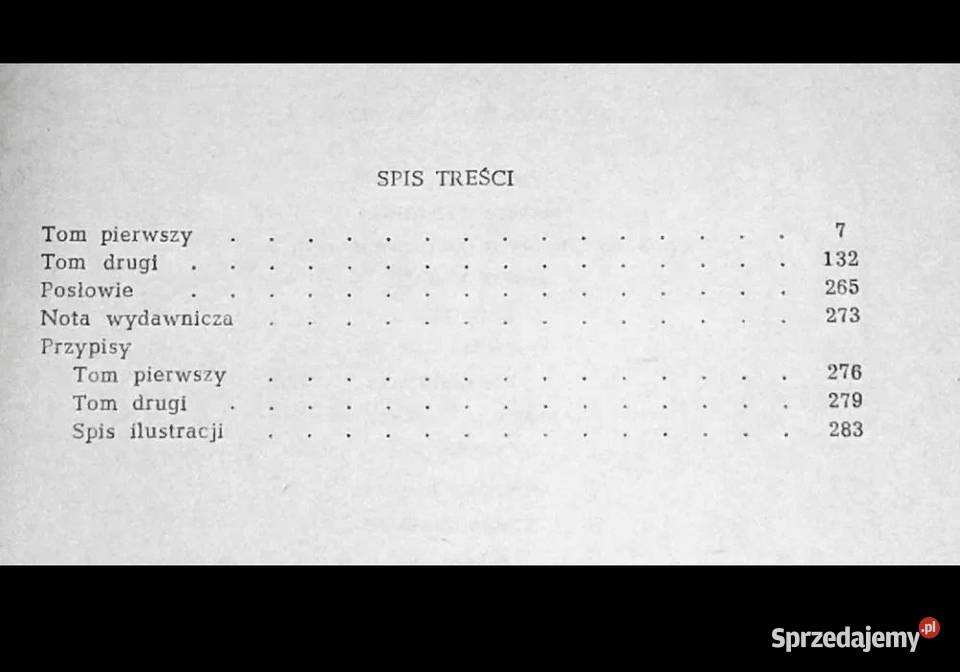 Pogrobek Józef Ignacy Kraszewski Chełm