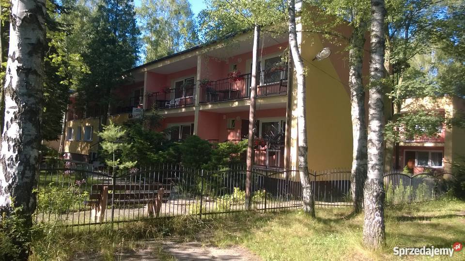 Ośrodek wypoczynkowyhotel 2 budynki remoncie 499zł/m2 Lokale użytkowe Mierzyn sprzedam