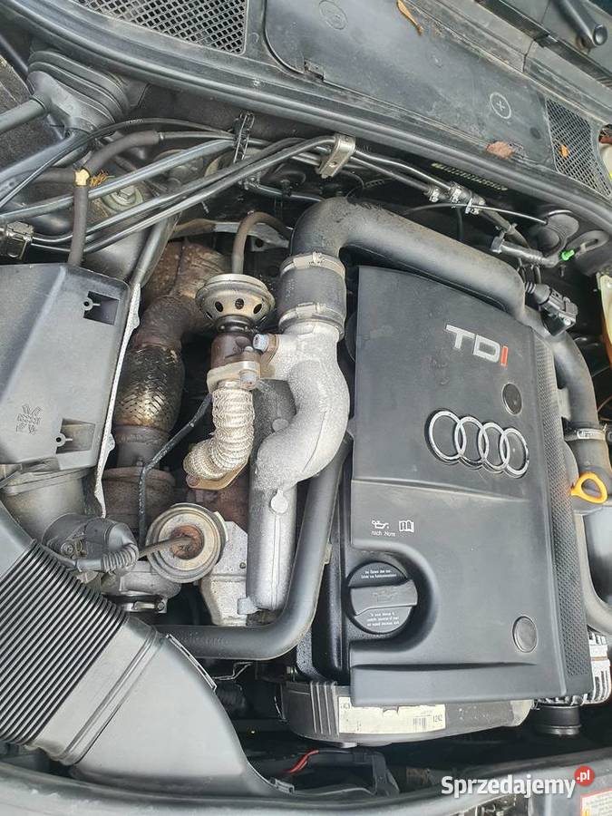 Audi A4 B5 19 TDI AFN Rzyki sprzedam