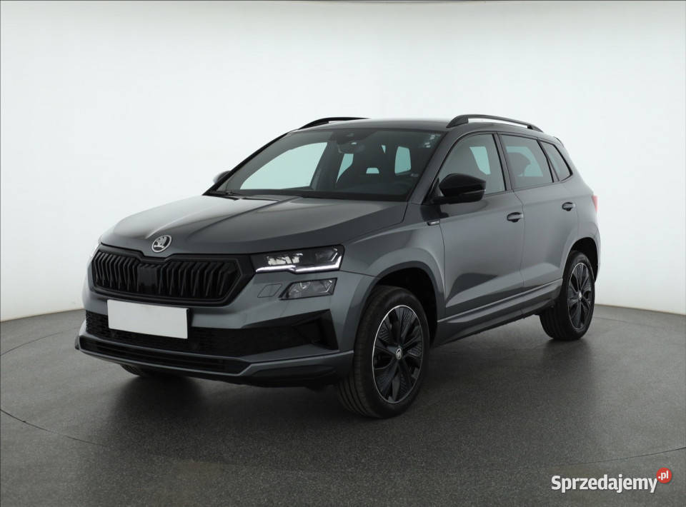 Skoda Karoq 15 TSI radio śląskie Katowice