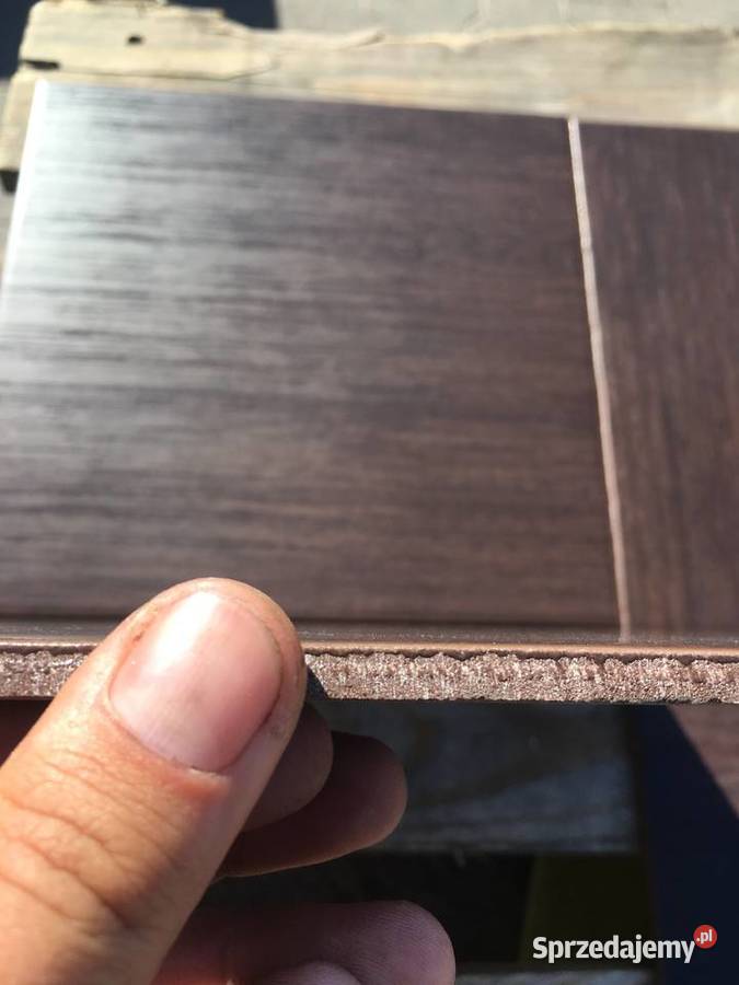 Terakota foresta wenge 292x292 firmy BASIC LINE mazowieckie Reguły