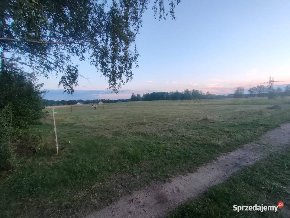 Działka działki Trzebiszewo 818ar 870m2 Skwierzyna
