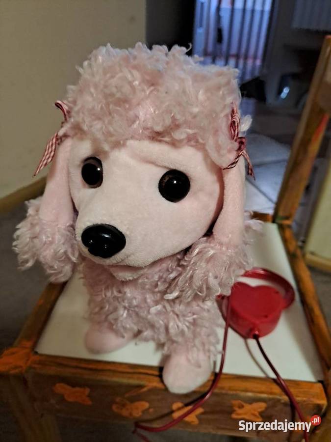 Piesek na baterie Sosnowiec