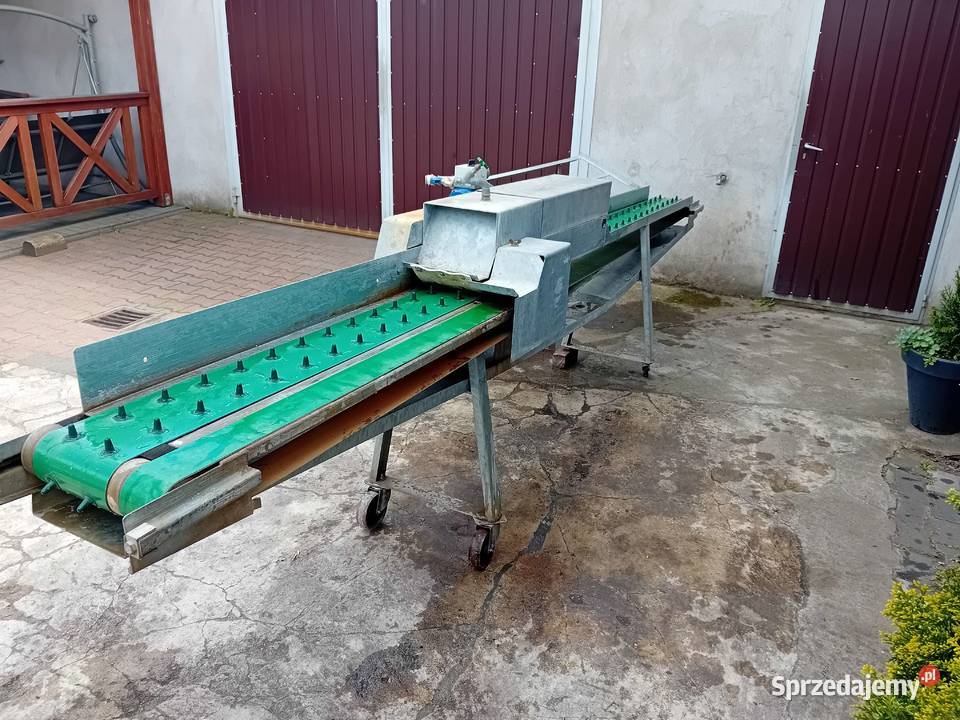 Sortownica maszyna do sortowania szparagów i Kargowa