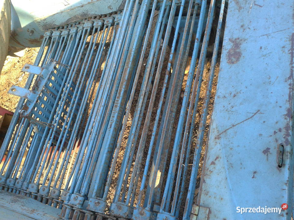 kopaczka do ziemniaków elewatorowa Nowa Słupia sprzedam