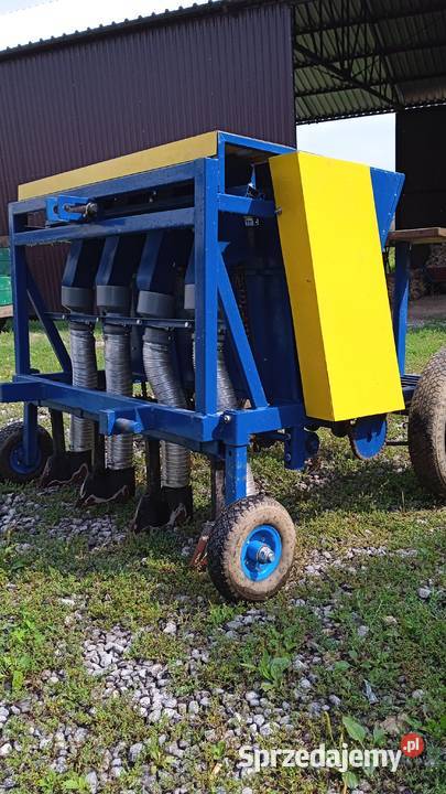 Sadzarka do czosnku lubelskie