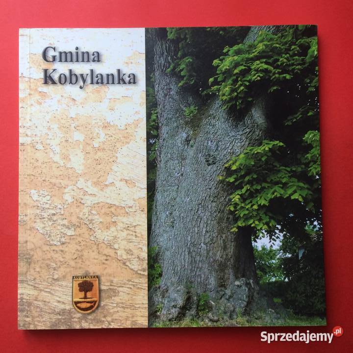 2130 Gmina Kobylanka sprzedam