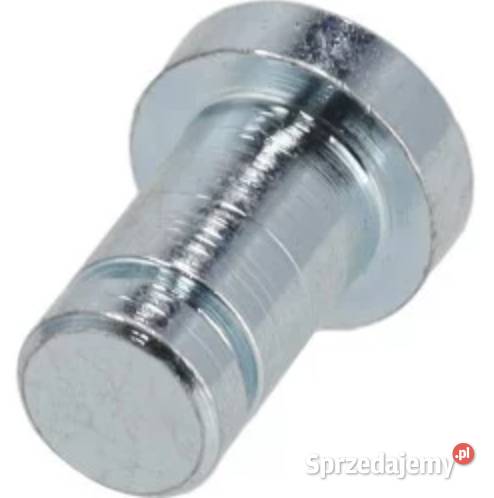 Sworzeń 80343VK1003 Kamionna