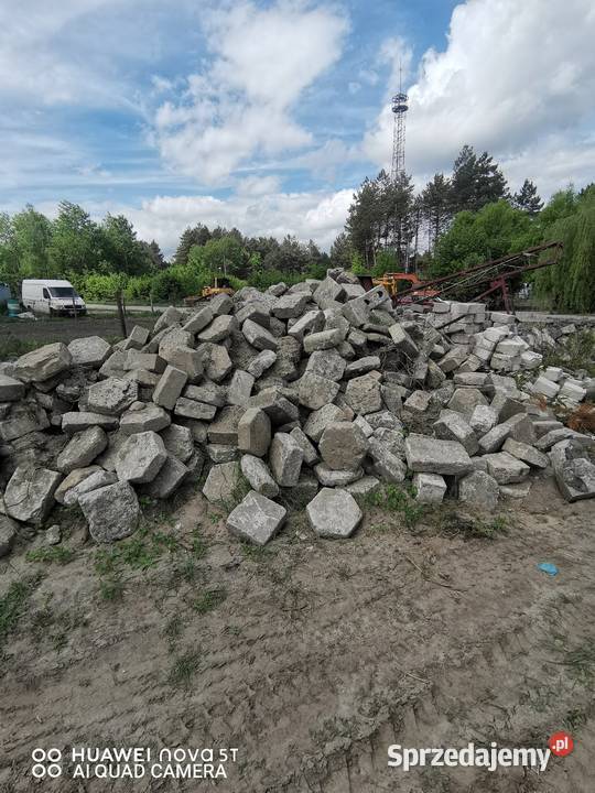 Trelinka obrzeża lubelskie Tomaszów Lubelski