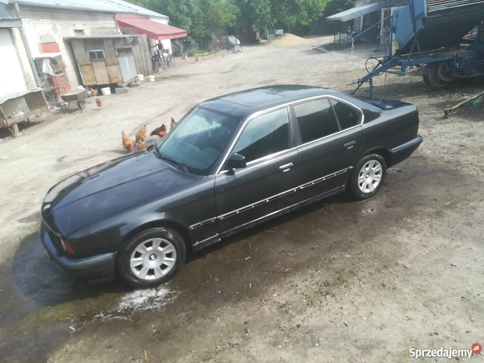 30letnia bunia o pięknym wyglądzie BMW E34 4/5 Spiczyn
