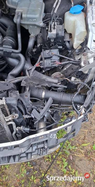 AUDI A4 B6 Na CZĘŚCI TANIO Rok produkcji 2002 Łąg